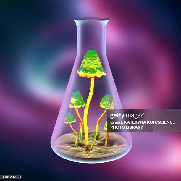 mushrooms growing in laboratory, conceptual illustration - toadstool stock illustrations