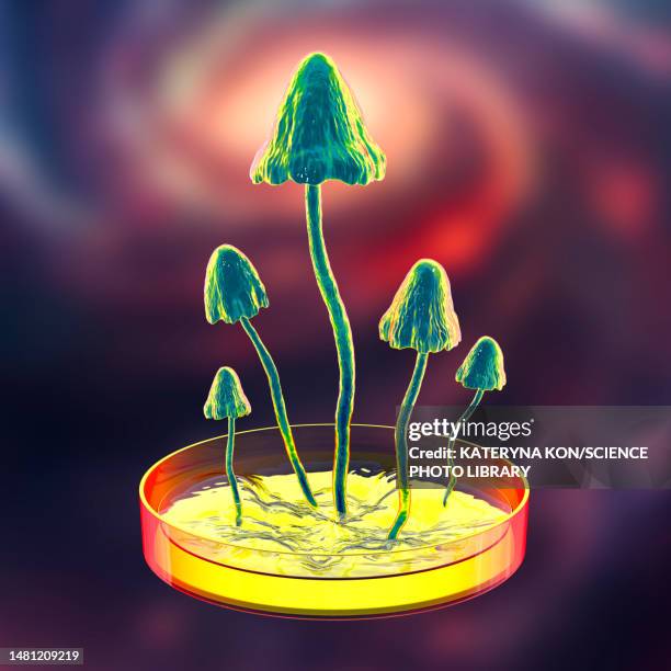 mushrooms growing in laboratory, conceptual illustration - toadstool stock illustrations