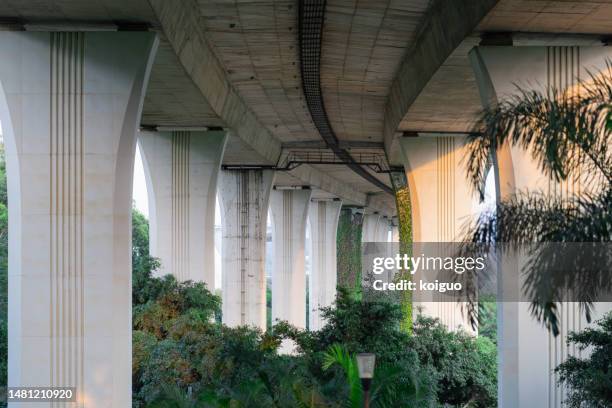 support columns and plants under the viaduct - prop stock pictures, royalty-free photos & images