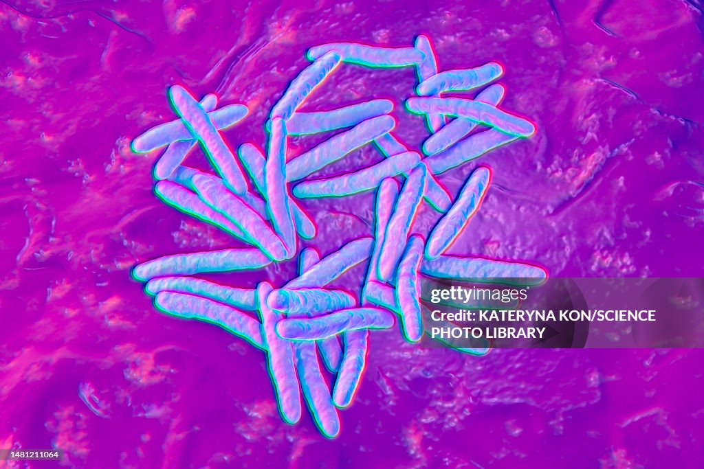 Tuberculosis bacteria, illustration