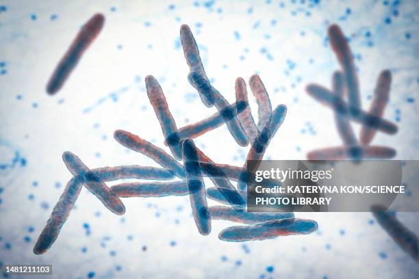 mycobacterium ulcerans bacteria, illustration - mycobacterium stock illustrations
