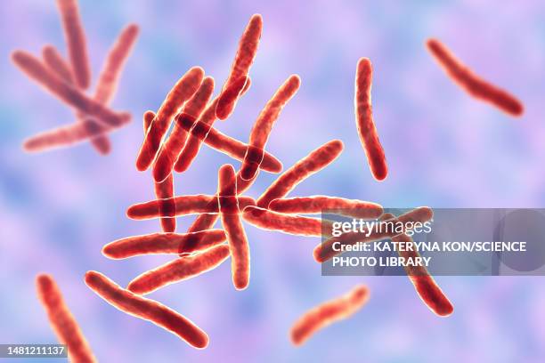 illustrazioni stock, clip art, cartoni animati e icone di tendenza di mycobacterium ulcerans bacteria, illustration - ulcera