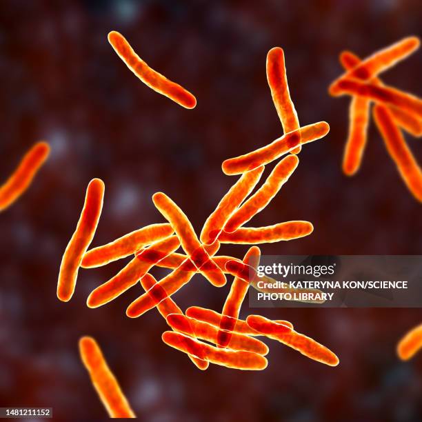 mycobacterium ulcerans bacteria, illustration - mycobacterium stock illustrations