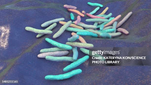 mycobacterium ulcerans bacteria, illustration - mycobacterium stock illustrations