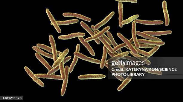 illustrazioni stock, clip art, cartoni animati e icone di tendenza di mycobacterium ulcerans bacteria, illustration - ulcera