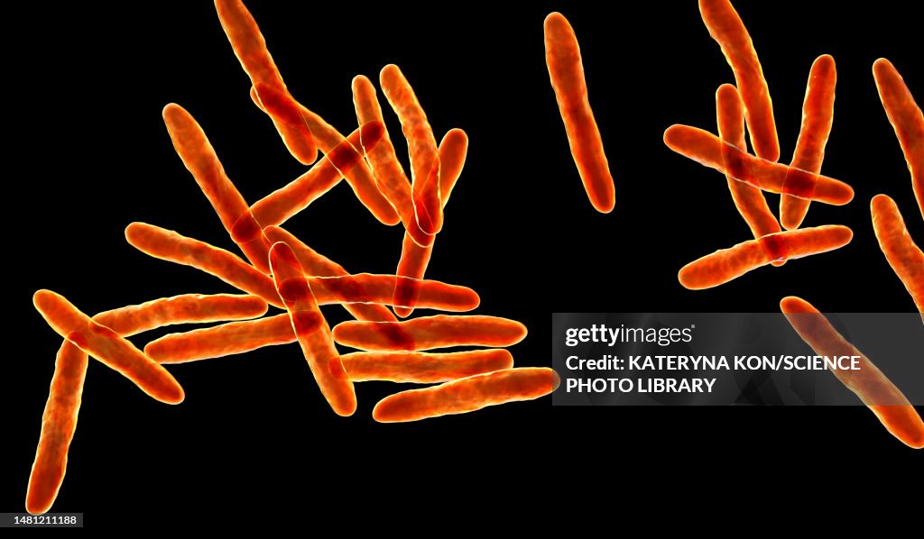 Mycobacterium Ulcerans Bacteria Illustration HighRes Vector Graphic
