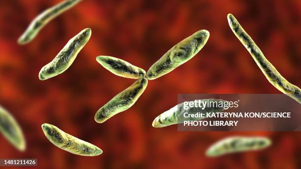 corn smut fungus, illustration - dermatitis stock illustrations