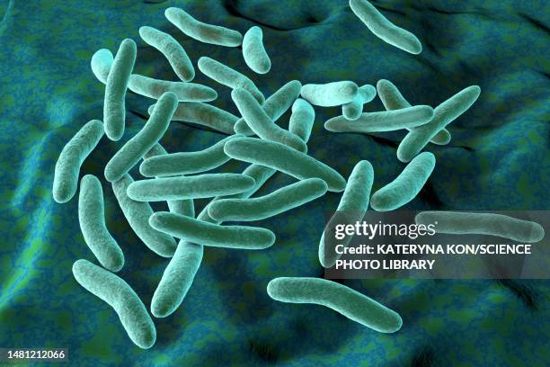 pseudoalteromonas tetraodonis bacteria, illustration - slimy stock illustrations