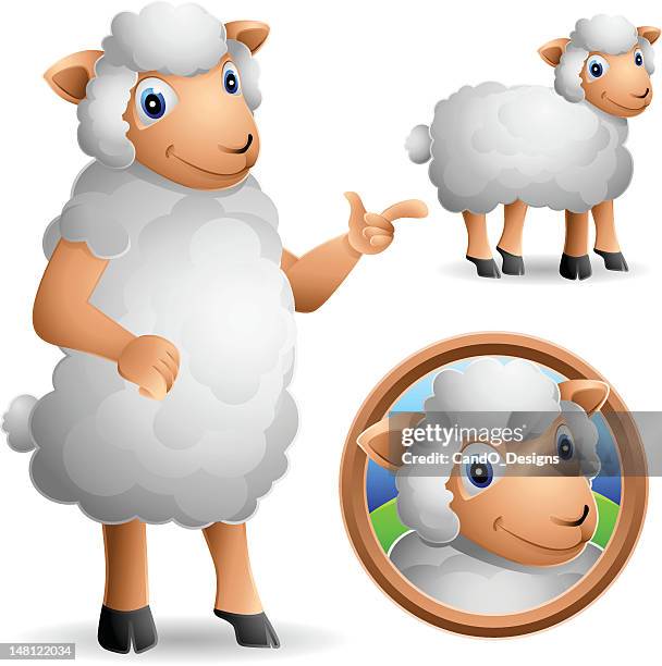 sheep: 3 in 1 - sheep wool stock illustrations