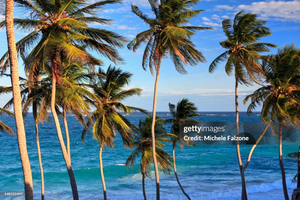 Bottom Bay Beach, Barbados