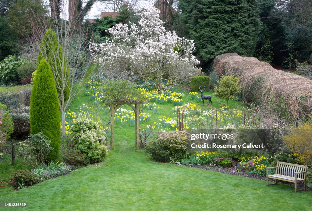 Spring Landscape Uk English Spring Garden Surrey England Uk High-Res Stock Photo - Getty Images