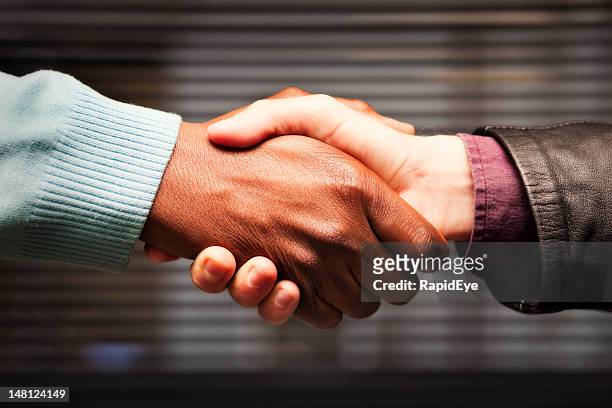 black-white handshake - reunites stock pictures, royalty-free photos & images