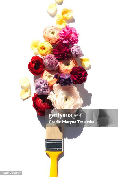 paint brush with many colors. repair. dye. design. conceptual photo on the topic of inspiration and diy creation. florist. - ranunculus wedding bouquet stock pictures, royalty-free photos & images