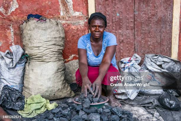 Woman sells charcoal in the market in Gros-Morne, Haiti on February 18, 2017.