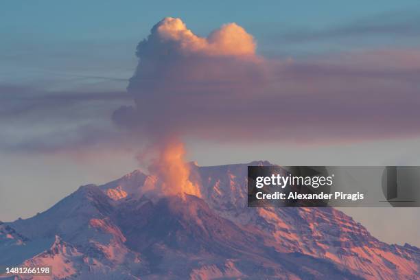 winter view of the explosive eruption of the shiveluch volcano on the kamchatka peninsula - kamchatka volcano stock pictures, royalty-free photos & images