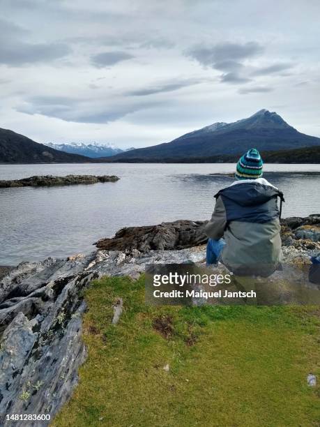 man looking at a lake in patagonia - ushuaia stock pictures, royalty-free photos & images