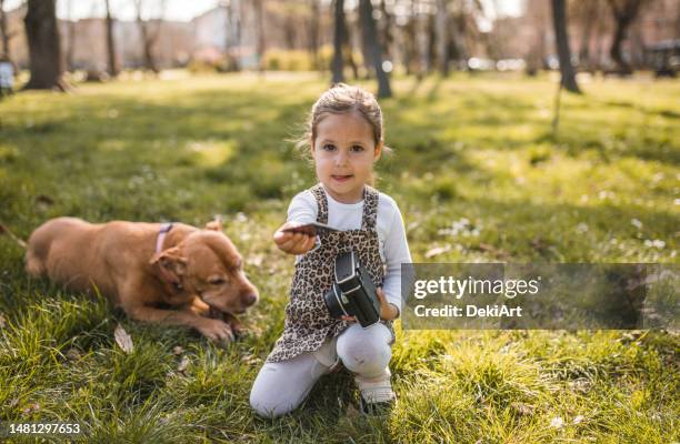 a cute little girl takes a photo of her stafford dog in the park - stafford terrier stock pictures, royalty-free photos & images