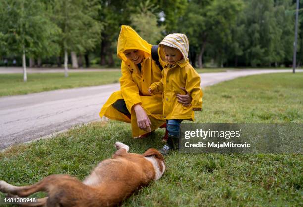 mom and son playing with their dog - mother son shower stockfoto's en -beelden