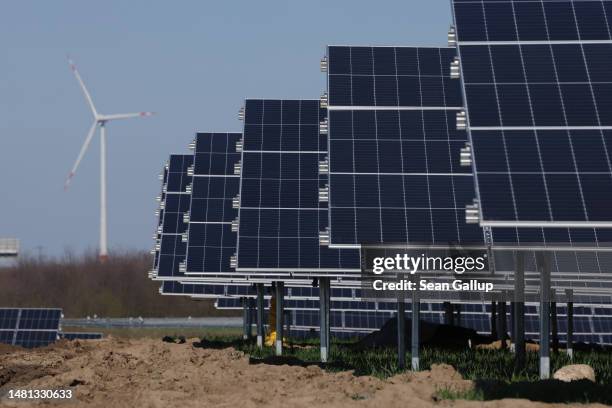 In this image released on April 11, newly-installed solar panels face the sky at the construction site of a new solar energy park as a wind turbine...