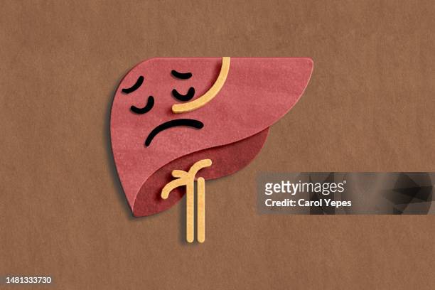 sad liver in paper - human liver illustration stockfoto's en -beelden