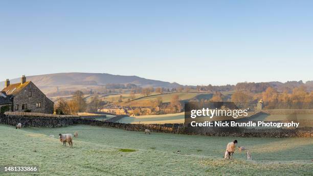 yorkshire dales national park, england. - barn stock pictures, royalty-free photos & images