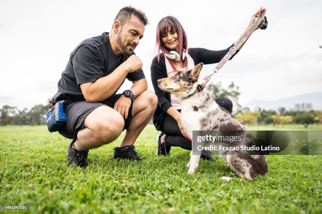 Donos de animais ensinando o cão a sentar em parque público