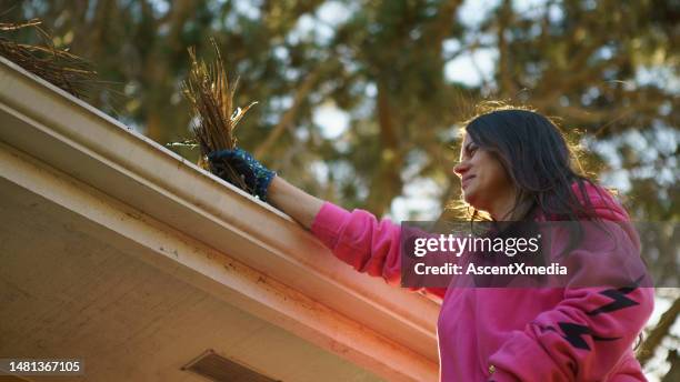 woman cleans leaves and organic debris from gutters - caleira telhado imagens e fotografias de stock