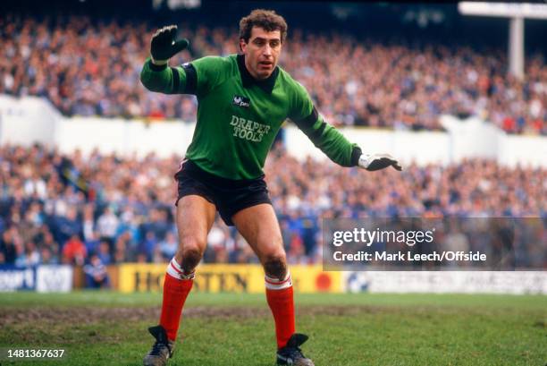 February 1987, London - Football League Division One - Tottenham Hotspur v Southampton - Southampton goalkeeper Peter Shilton.