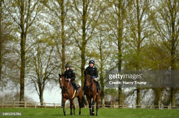 Tom Scudamore on board Eden du houx and Jack Tudor on board Keppage make their way back down the gallops during a David Pipe Stable Visit at Pond...
