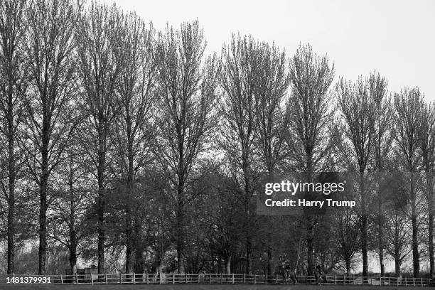 Tom Scudamore on board Eden du houx and Jack Tudor on board Keppage make their way back down the gallops during a David Pipe Stable Visit at Pond...