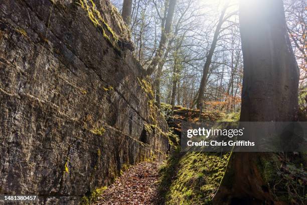 bircher common, herefordshire, england, united kingdom - the past stock pictures, royalty-free photos & images