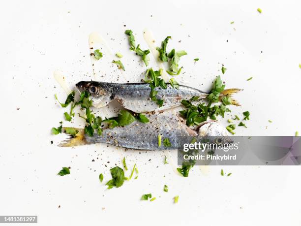 raw fresh sardines, sardines and olive oil on a white background, marinated sardines - sardine imagens e fotografias de stock