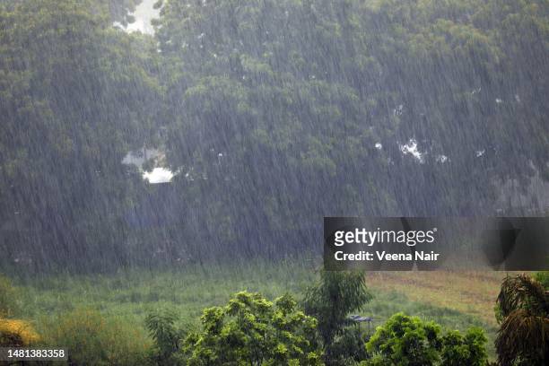 torrential  rain/monsoon/ rainy season/ahmedabad/india - lluvia torrencial fotografías e imágenes de stock