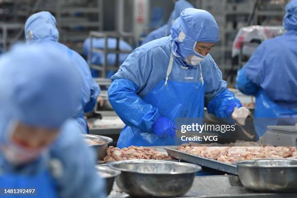 Poultry Process Worker Poultry Processing Plant Photos and Premium High Res Pictures - Getty ...