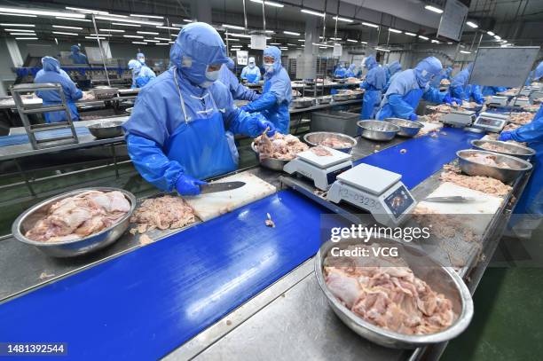 Poultry Process Worker 1,221 Poultry Processing Worker Stock Photos, High-Res Pictures, and ...