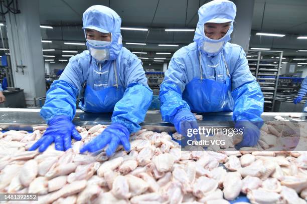 Poultry Process Worker 1,221 Poultry Processing Worker Stock Photos, High-Res Pictures, and ...