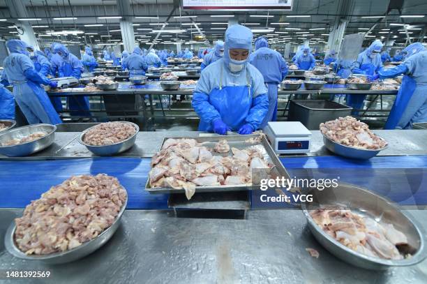 Poultry Process Worker 1,079 Poultry Processing Plant Workers Stock Photos, High-Res Pictures ...