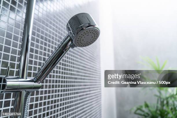 close-up of microphone,romania - shower head stock pictures, royalty-free photos & images
