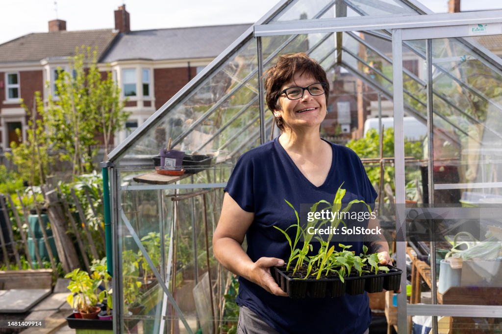 Proud of My Crops