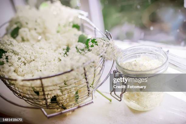 elder flower juice ingredients from fresh flowers elderberry - elderberry stock-fotos und bilder