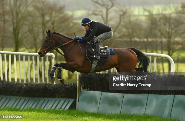 Tom Scudamore on board Eden du houx take a flight on the gallops during a David Pipe Stable Visit at Pond House Stables on April 11, 2023 in...