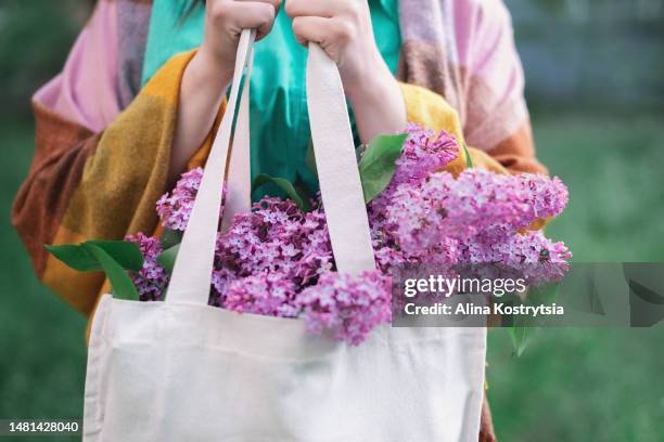 bouquet of pink purple lilac in female hands - flieder stock-fotos und bilder