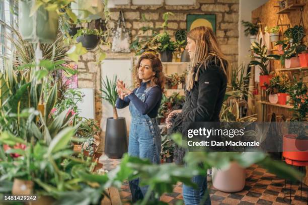 female plant shop owner assists customer - nailsworth gloucestershire stock pictures, royalty-free photos & images