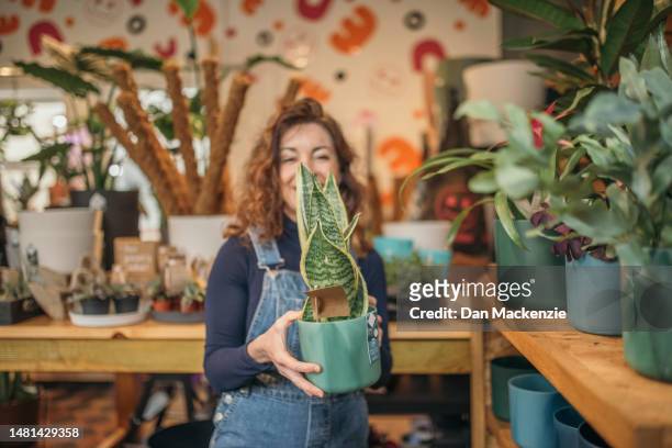 female business owner holding plant - nailsworth gloucestershire stock pictures, royalty-free photos & images