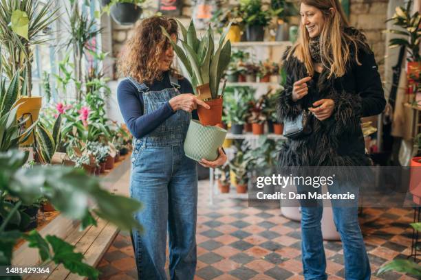 female plant shop owner assists customer - nailsworth gloucestershire stock pictures, royalty-free photos & images