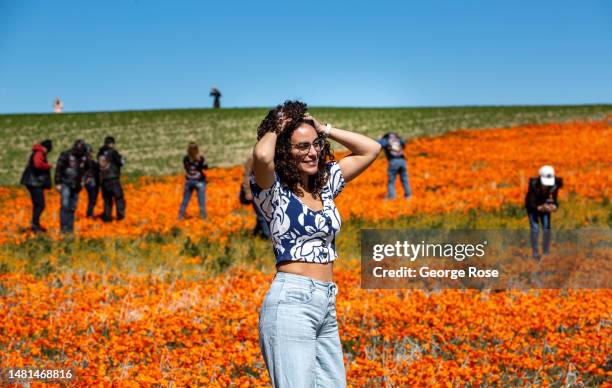 Following record winter rains, colorful poppies and other wildflowers have exploded on this high desert landscape near the Antelope Valley California...