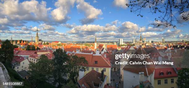 scenic panorama view of medieval tallinn's old town tallinn - estonia - town wall tallinn stock pictures, royalty-free photos & images