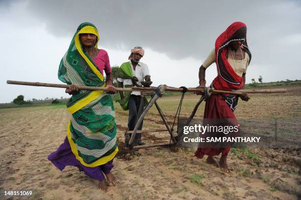 Indian farmers Hansaben, Geetaben and Jesingbhai plough a field in preparation for sowing cotton seeds in Nani Kisol village, around 70 km from...