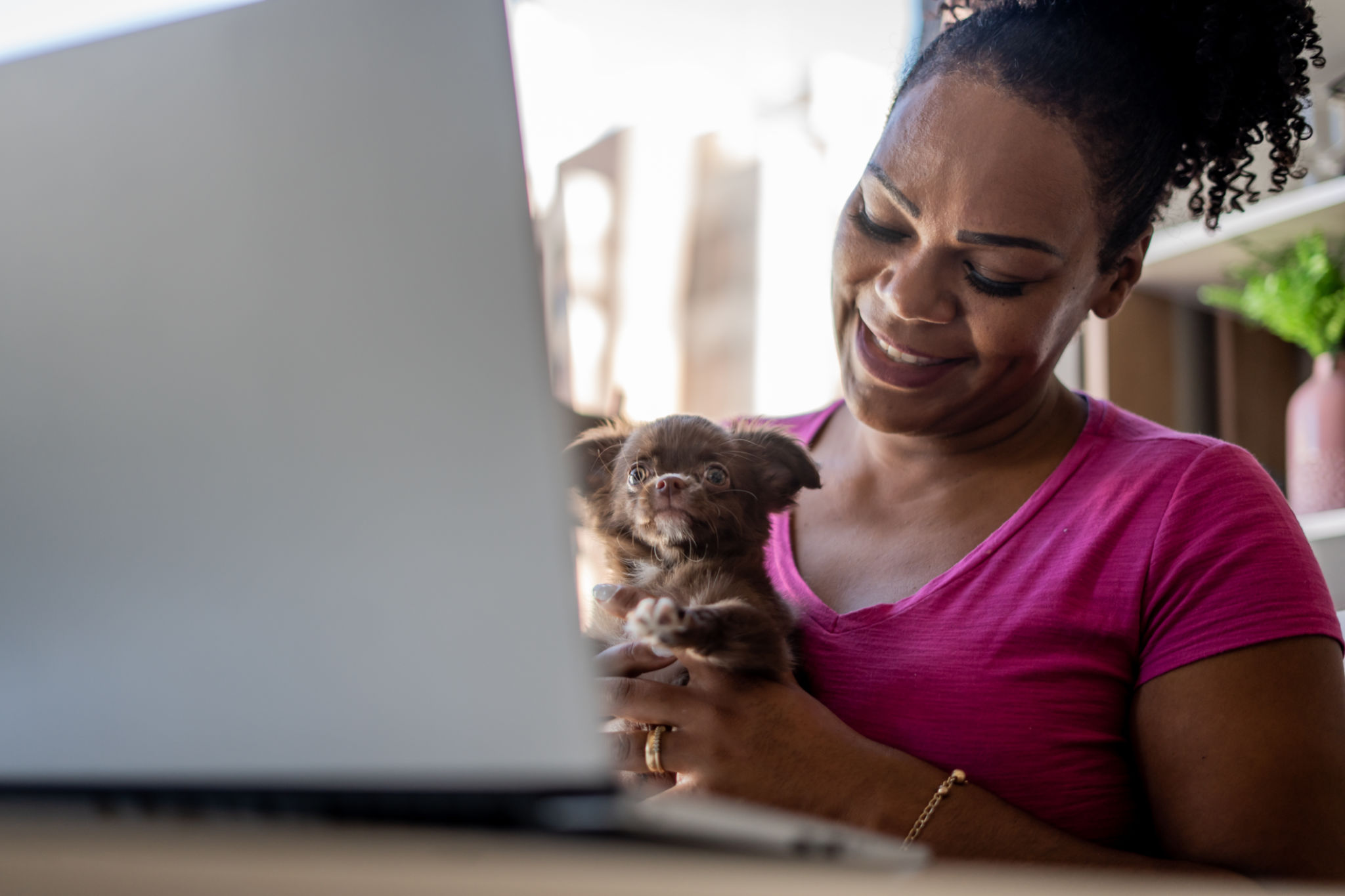 virtual pet adoption