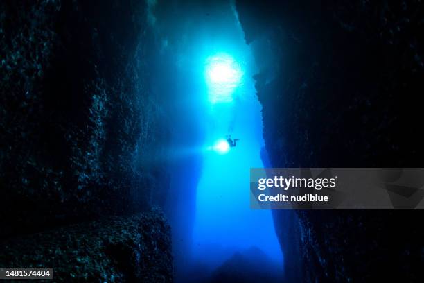 underwater silhouette - malta diving stock pictures, royalty-free photos & images